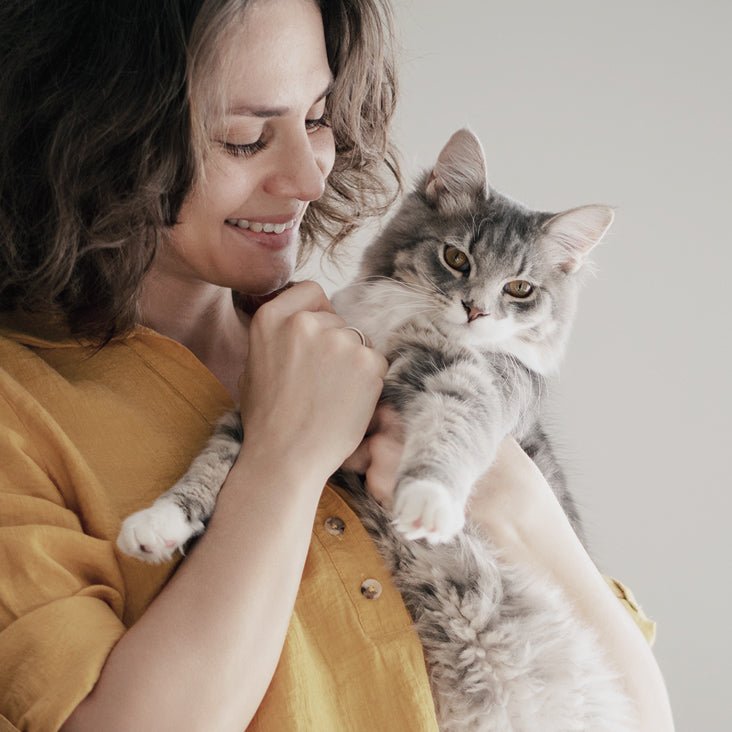 7 Tips for New Cat Owners - PETLIBRO