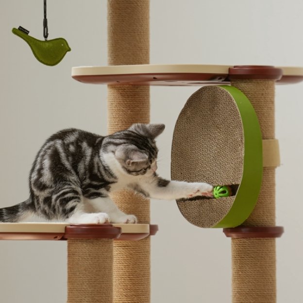 A Cat Tree So Simple, Even Your Cat Could Build It - PETLIBRO