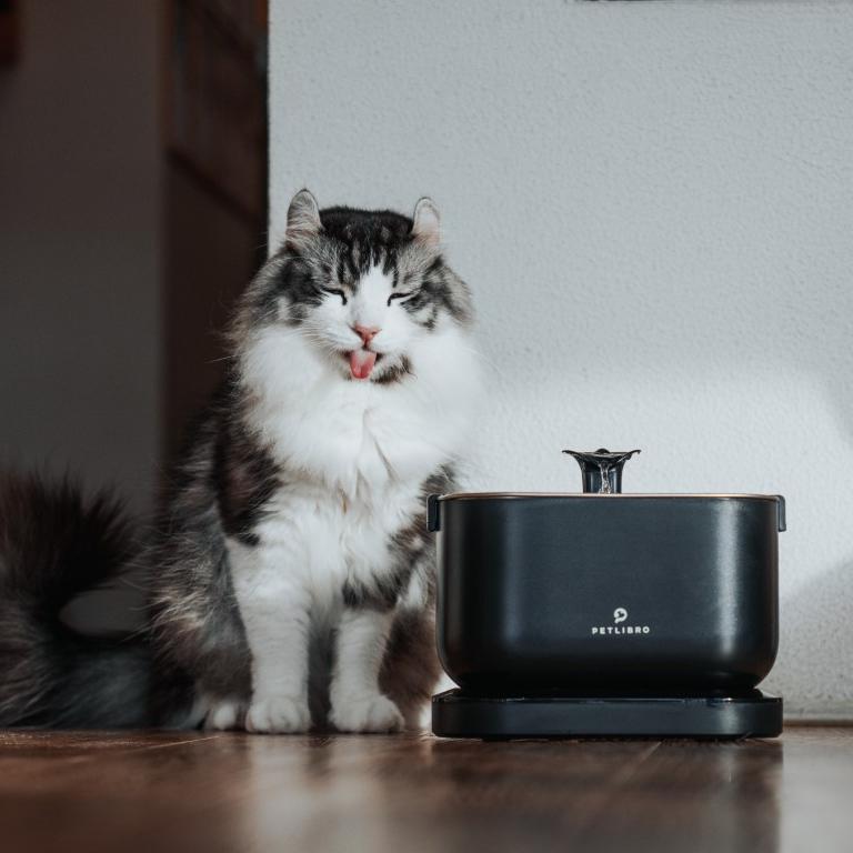 Do Cat Fountains Use a Lot of Electricity? - PETLIBRO