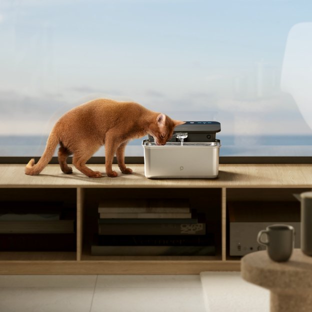Elevate Pet Hydration With The Glacier Fountain - PETLIBRO