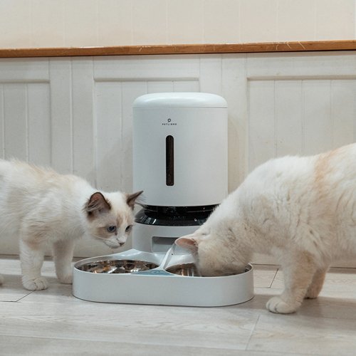 How Much to Feed a Cat? - PETLIBRO