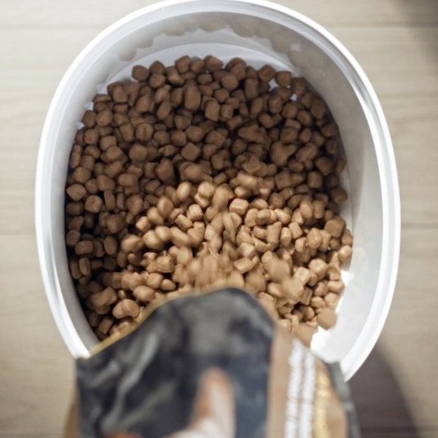 How to Safely Store Cat Food and Maximize Freshness? The 2023 Guide - PETLIBRO