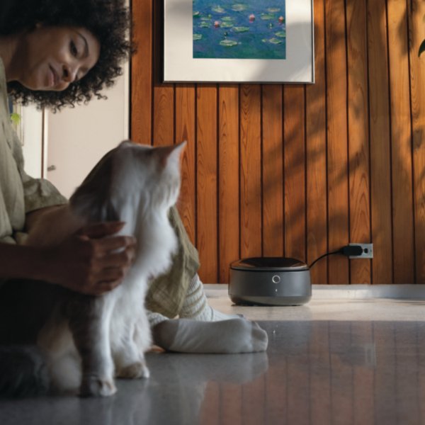 Introducing Polar: A First-of-its-kind Refrigerated Wet Food Feeder - PETLIBRO
