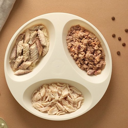 Pet Food 101: Dry vs Wet Food - PETLIBRO