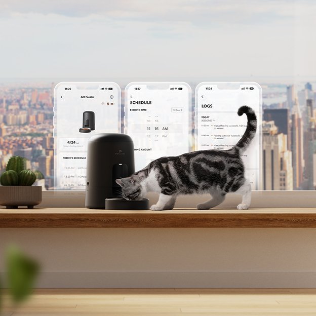 Smart, Cordless, Compact: The Wireless Feeder That Does It All - PETLIBRO