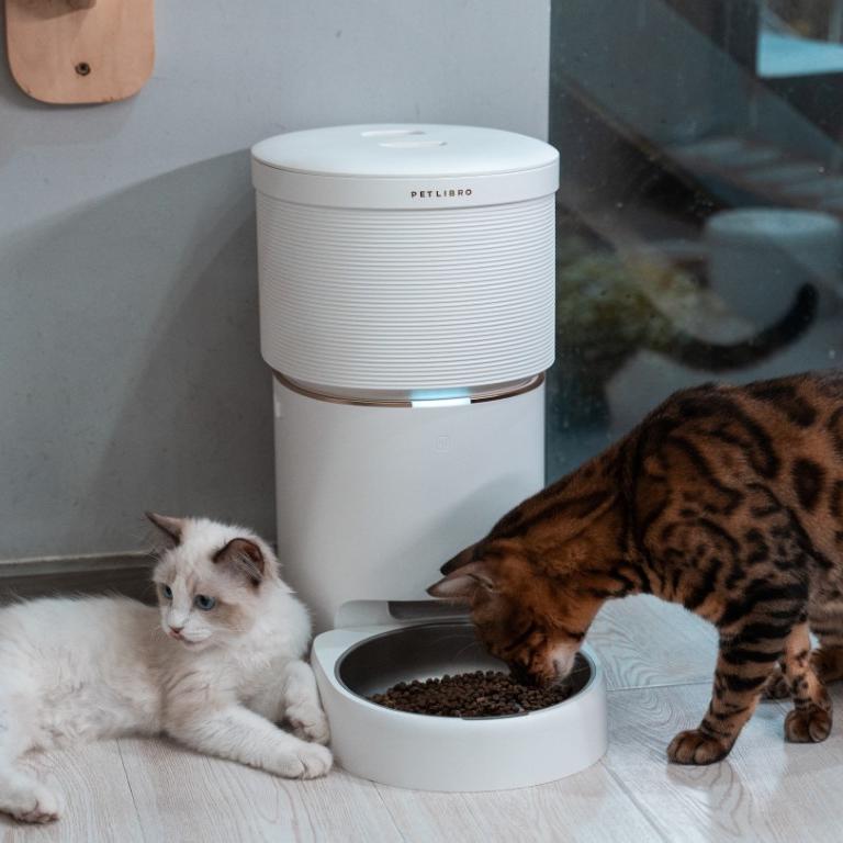 What Impact Does Your Pet's Food Have on the Environment? - PETLIBRO