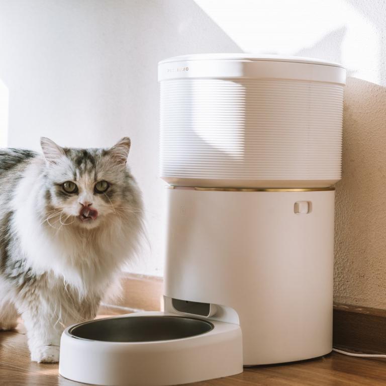 What is the Main Consideration for Automatic Feeder? 2023 Update - PETLIBRO