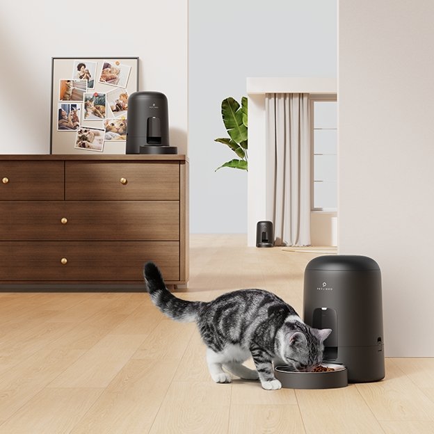 Why abandon ordinary bowls and gravity feeders in favor of PETLIBRO automatic feeders? - PETLIBRO