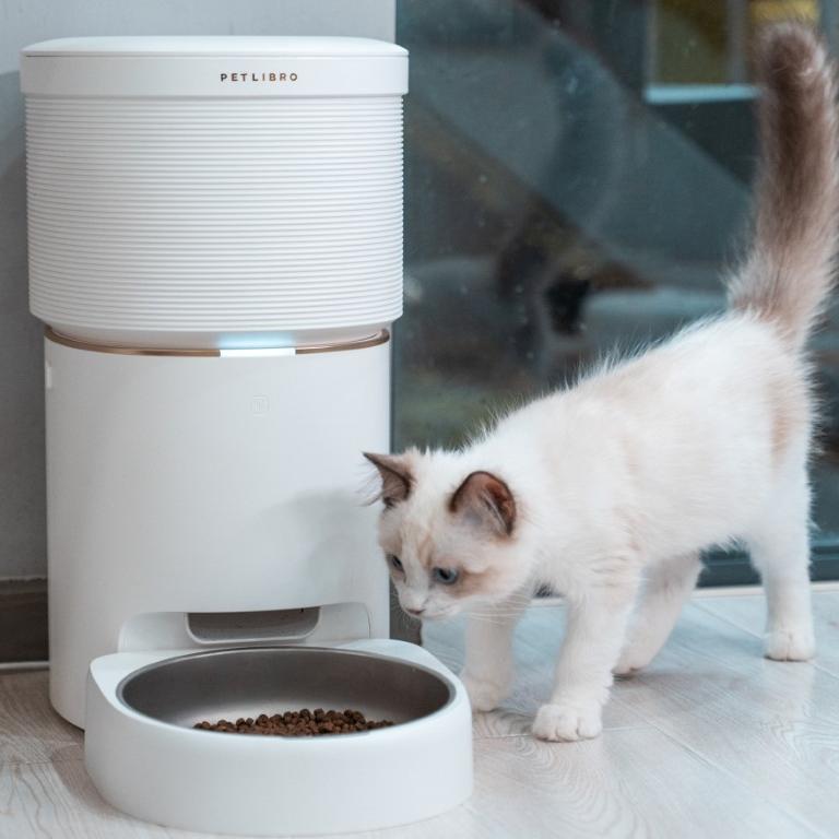 Why You Need a Pet Camera Feeder If You're a Worried Pet Parent? - PETLIBRO