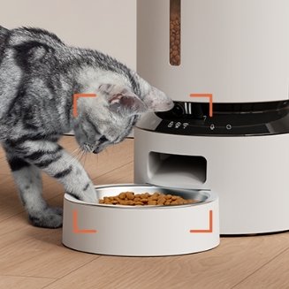 Your best pet feeding assistant when back to the office - PETLIBRO