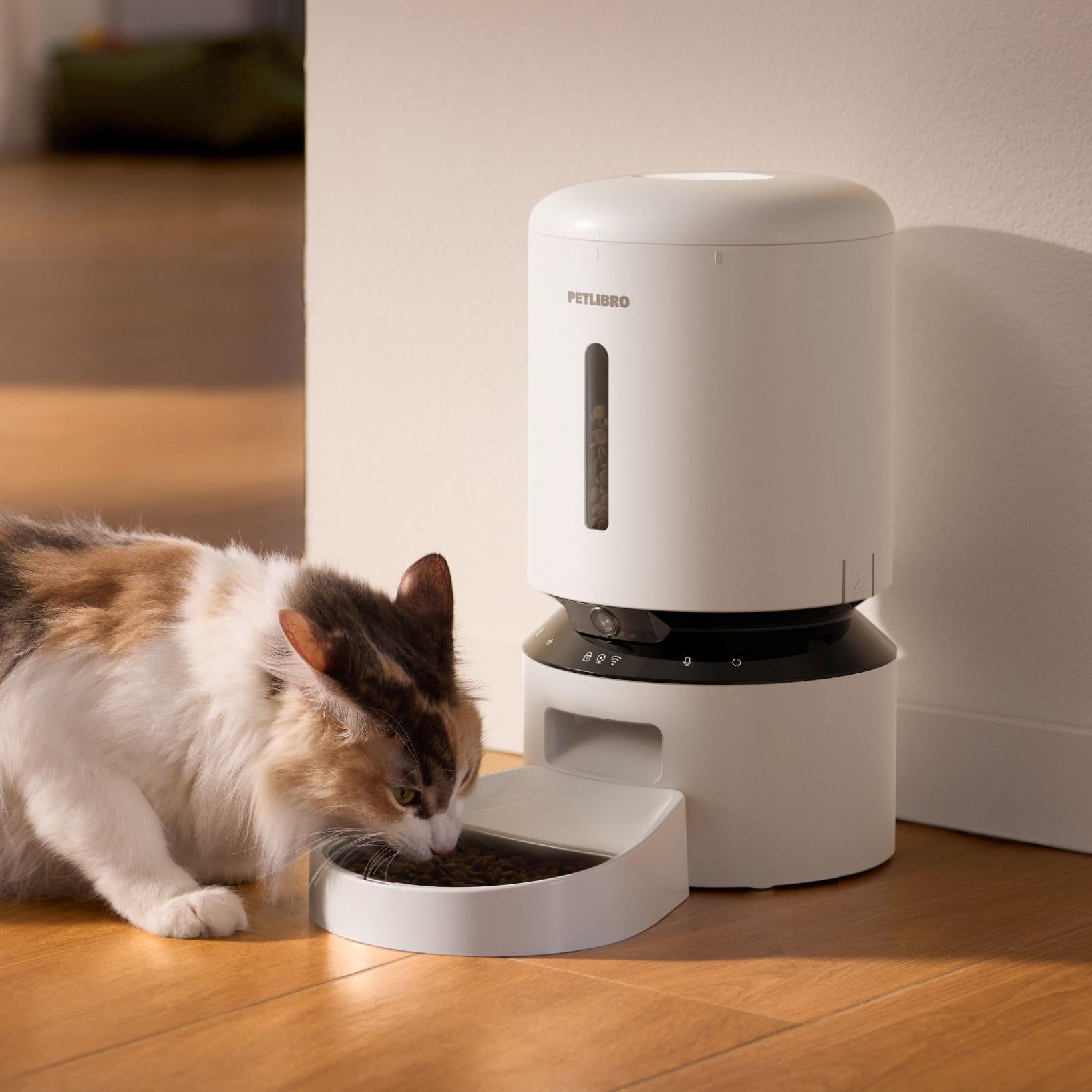 Here Are 5 Reasons Why You Need a Timed Cat Feeder!