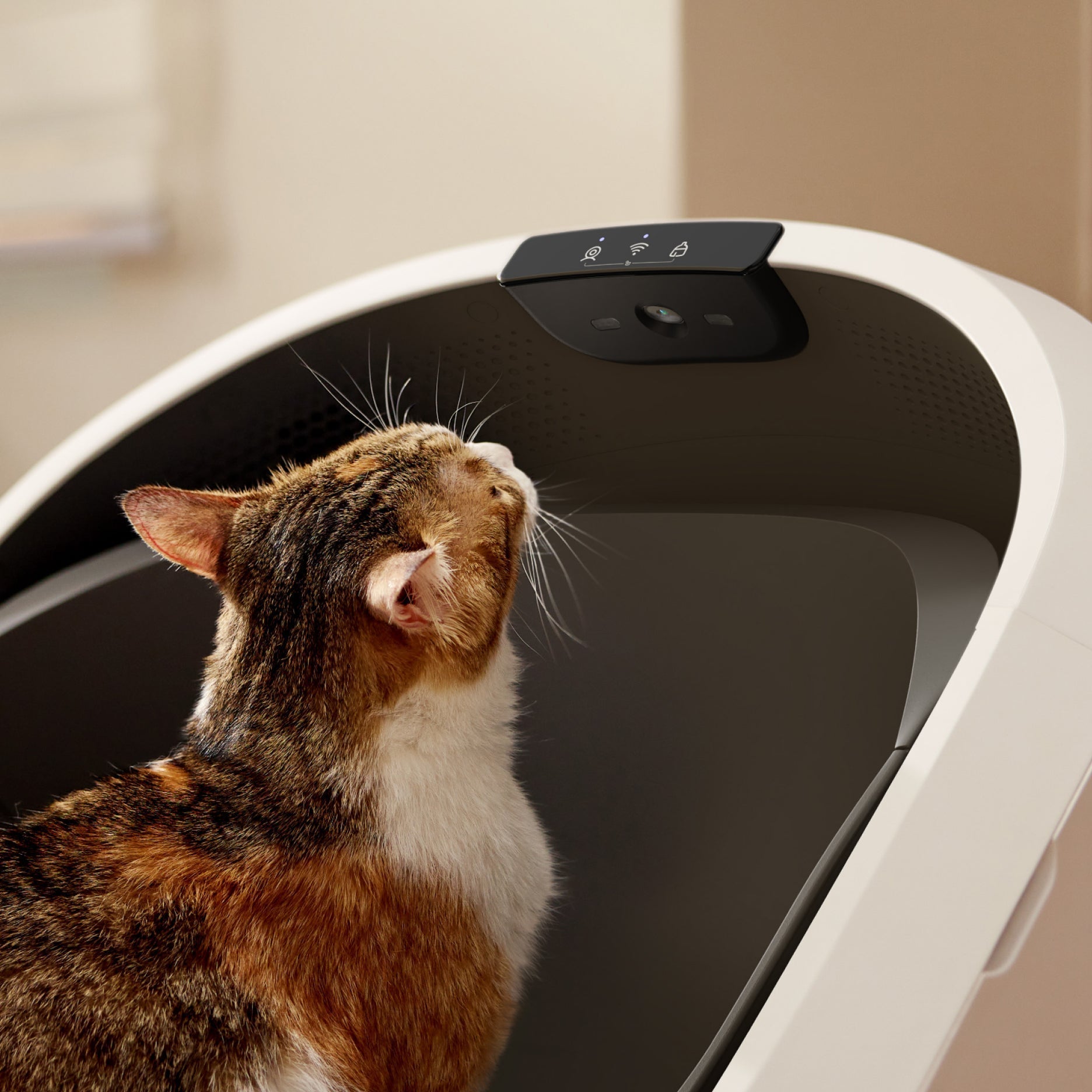 How Does the New Luma Smart Litter Box Stack Up?