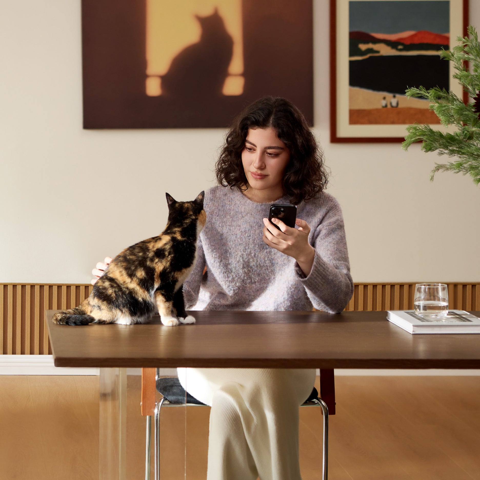 Our Smart Cat Litter Box Cheatsheet