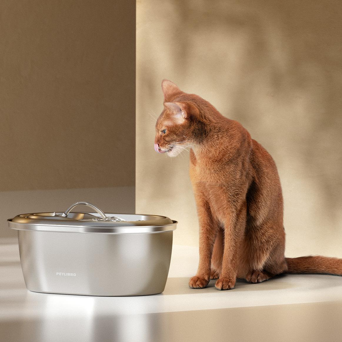 Hydration on Demand: Exploring the Benefits of a Pet Water Fountain