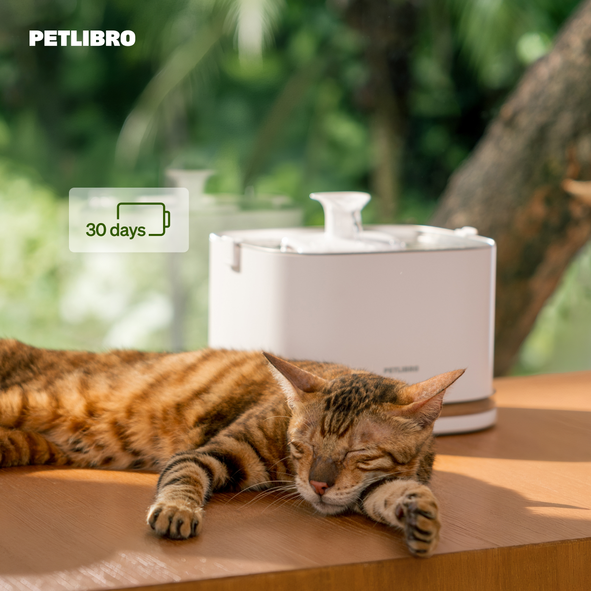 Do you know if your cat is drinking enough water?