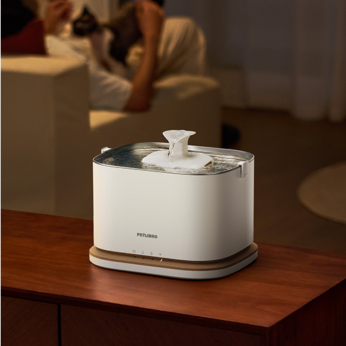 Signs of Dehydration in Cats: How to Spot and Prevent It?