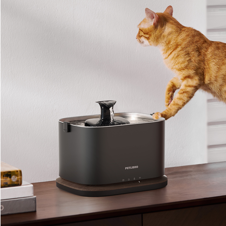 Maximizing Water Consumption: Tips for Encouraging Your Cat to Drink More