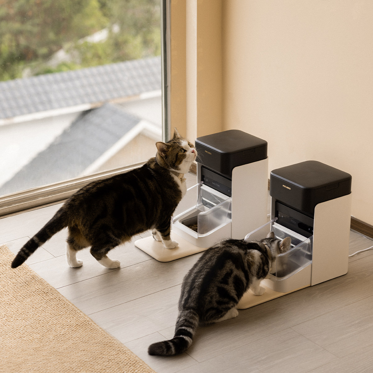 Petlibro RFID Feeder