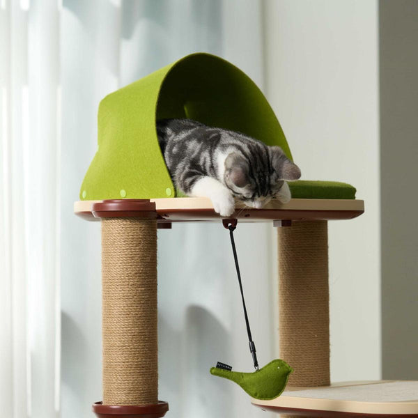 Cat Trees for Small Apartments: Compact & Space-Saving Options!
