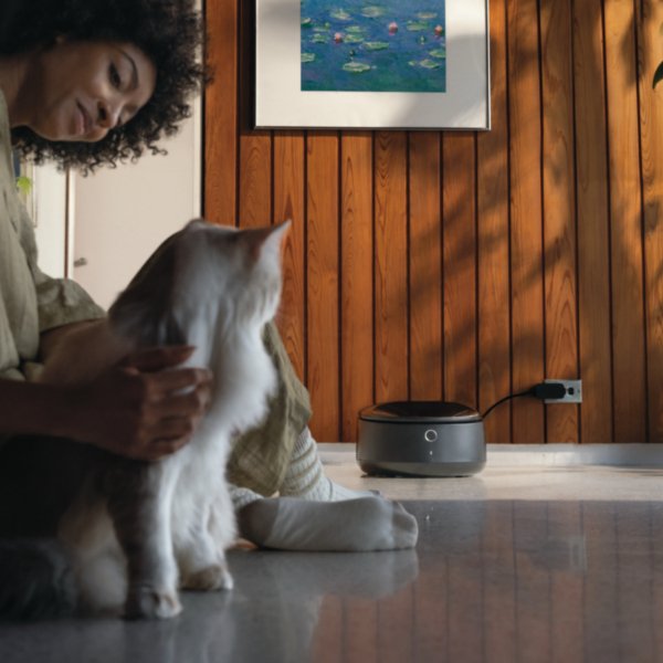 Introducing Polar: A First-of-its-kind  Refrigerated Wet Food Feeder