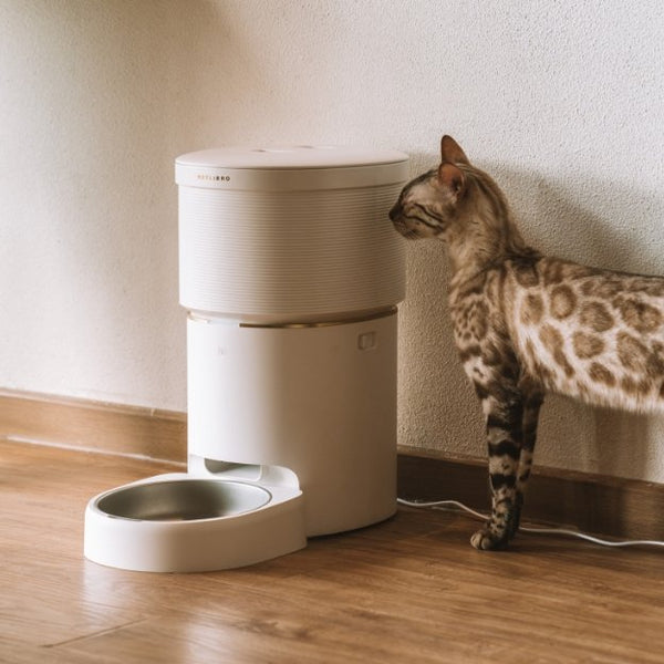 Vacuum-Sealed Automatic Cat Feeder: Fresh Meals & Healthier Cats!