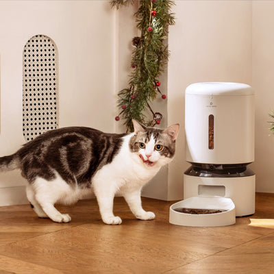 Automatic Feeder