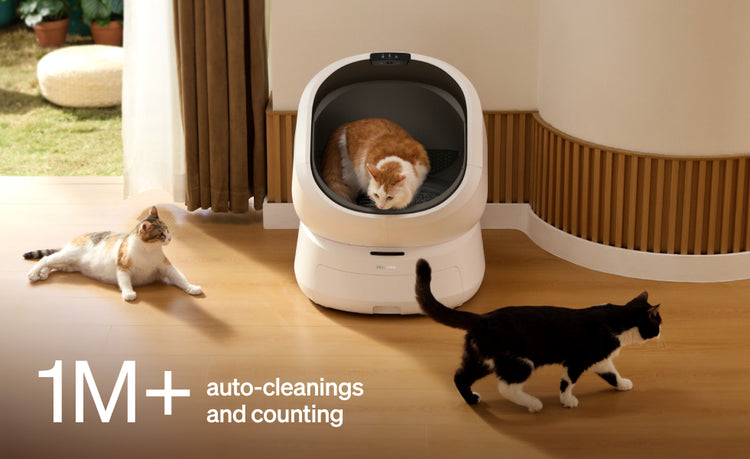 Petlibro Petlibro Luma、Petlibro Luma odor control luma smart litter box, white automatic self cleaning cat litter box with cats nearby, litter box deodorizer
