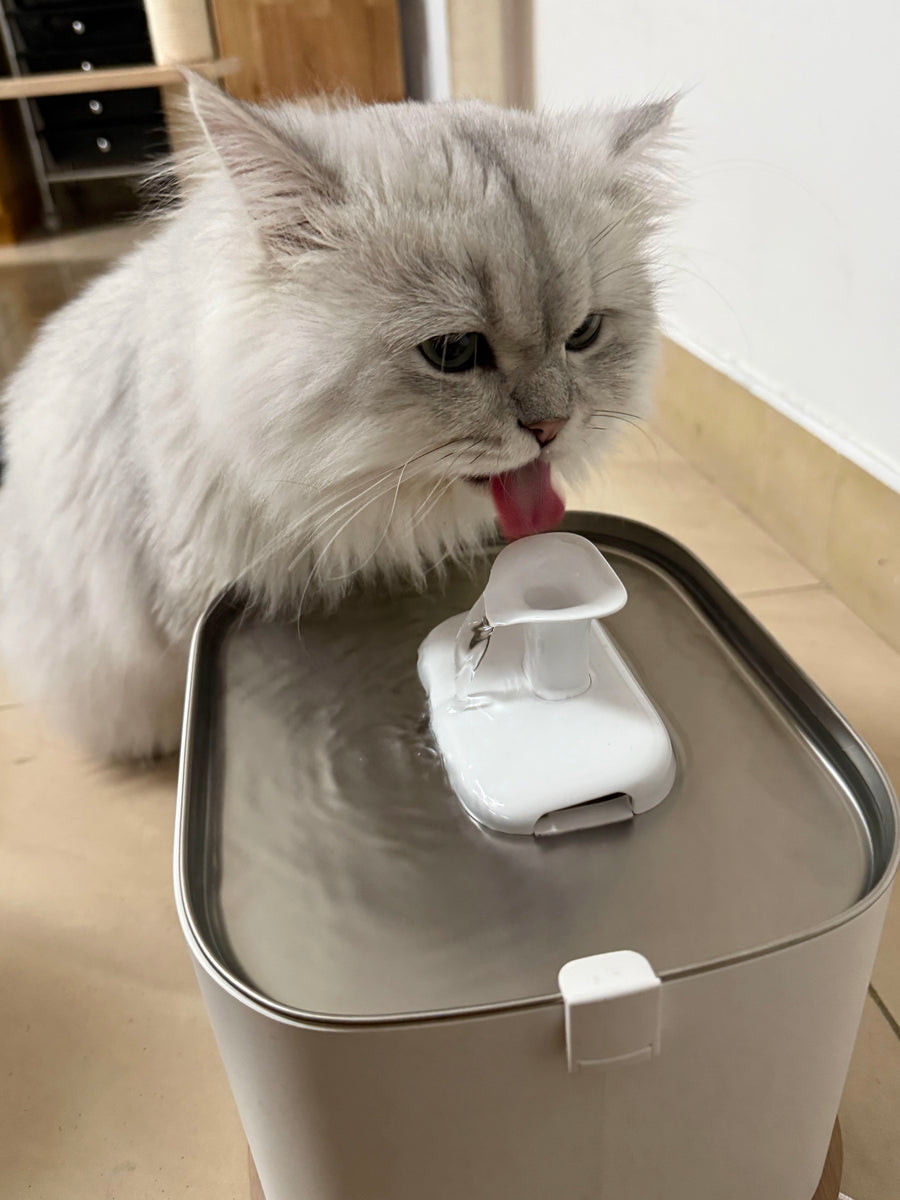Bajie
