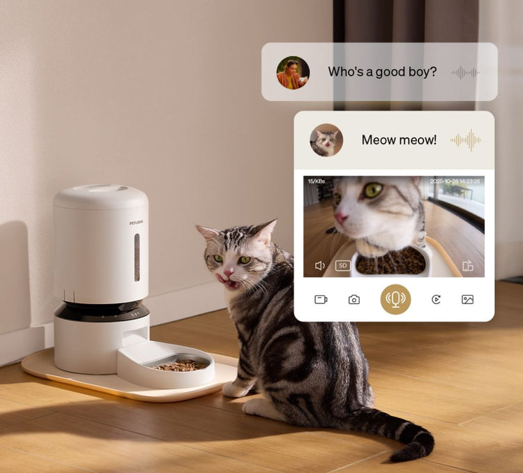 Petlibro automatic pet feeder in white with smart camera and voice interaction, shown with a tabby cat eating dry food