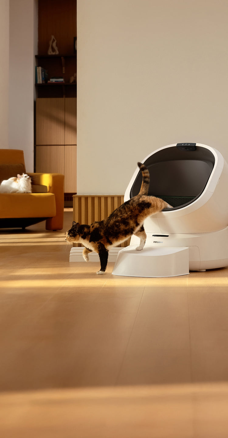 Petlibro automatic self-cleaning cat litter box in white with a calico cat stepping out in a modern living room setting