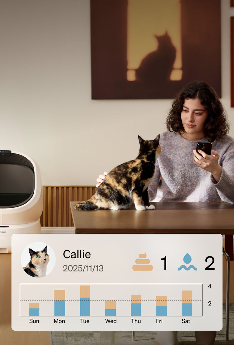Petlibro smart cat litter box with app monitoring cat health and activity, shown with woman and calico cat in home setting