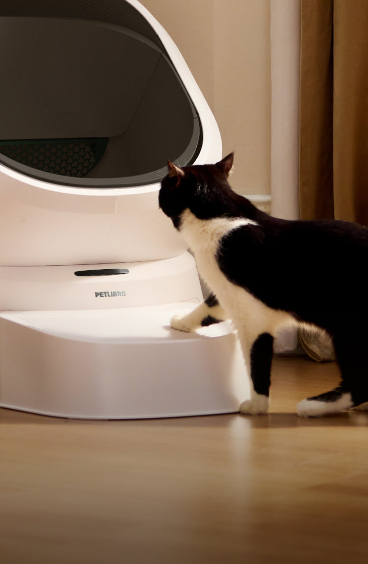 Petlibro automatic self-cleaning litter box in white with a black and white cat approaching the entrance in a home setting