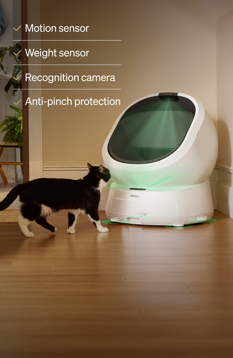 Petlibro Petlibro Luma、Petlibro Luma odor control luma smart litter box automatic self cleaning litter box with cat nearby, white dome unit