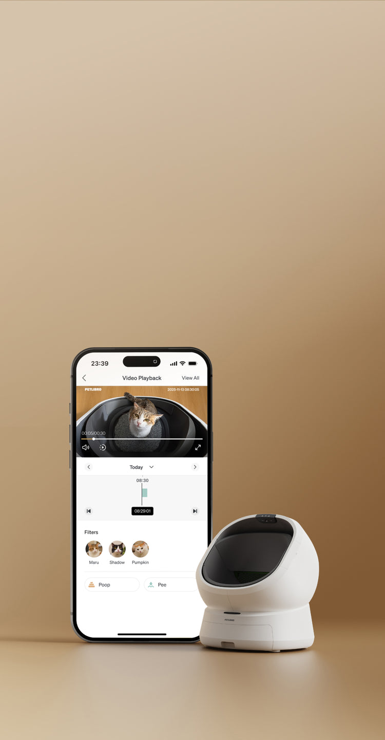 Petlibro smart automatic cat litter box in white with mobile app showing video playback of cat inside the litter box