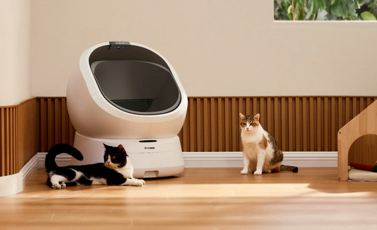 Petlibro Petlibro Luma odor control luma smart litter box, white automatic self cleaning cat litter box with two cats on wood floor