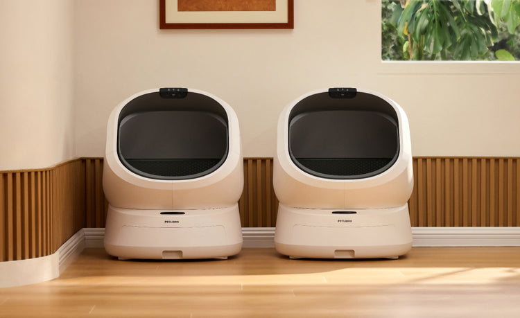 Petlibro Petlibro Luma odor control luma smart litter box, two white automatic self cleaning cat litter box units in home corner, litter box deodorizer