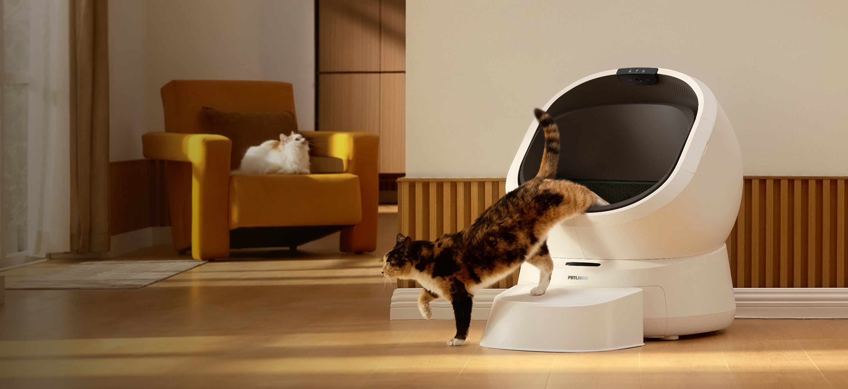 Petlibro automatic self-cleaning litter box in white with a step, shown in a living room with a cat exiting the unit and another cat on a yellow armchair.
