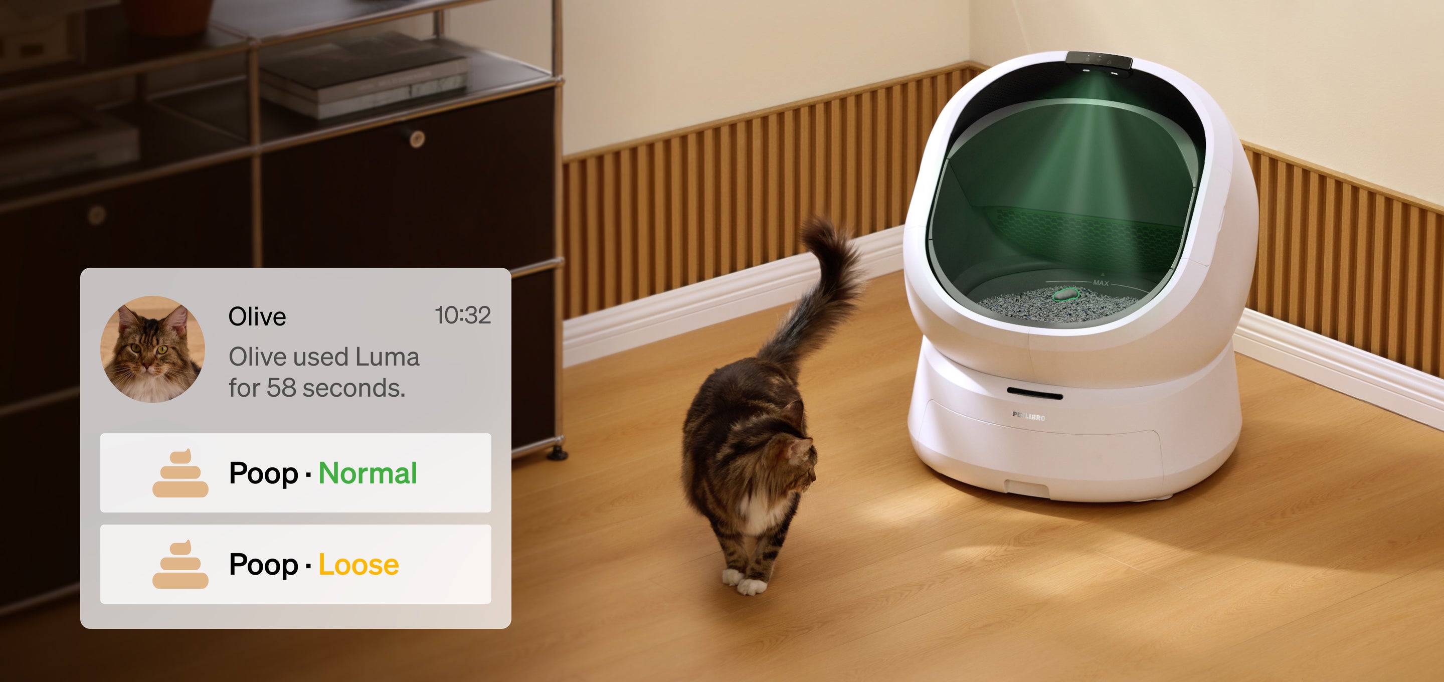 Petlibro automatic self-cleaning litter box in white with green interior light and a tabby cat nearby on wooden floor