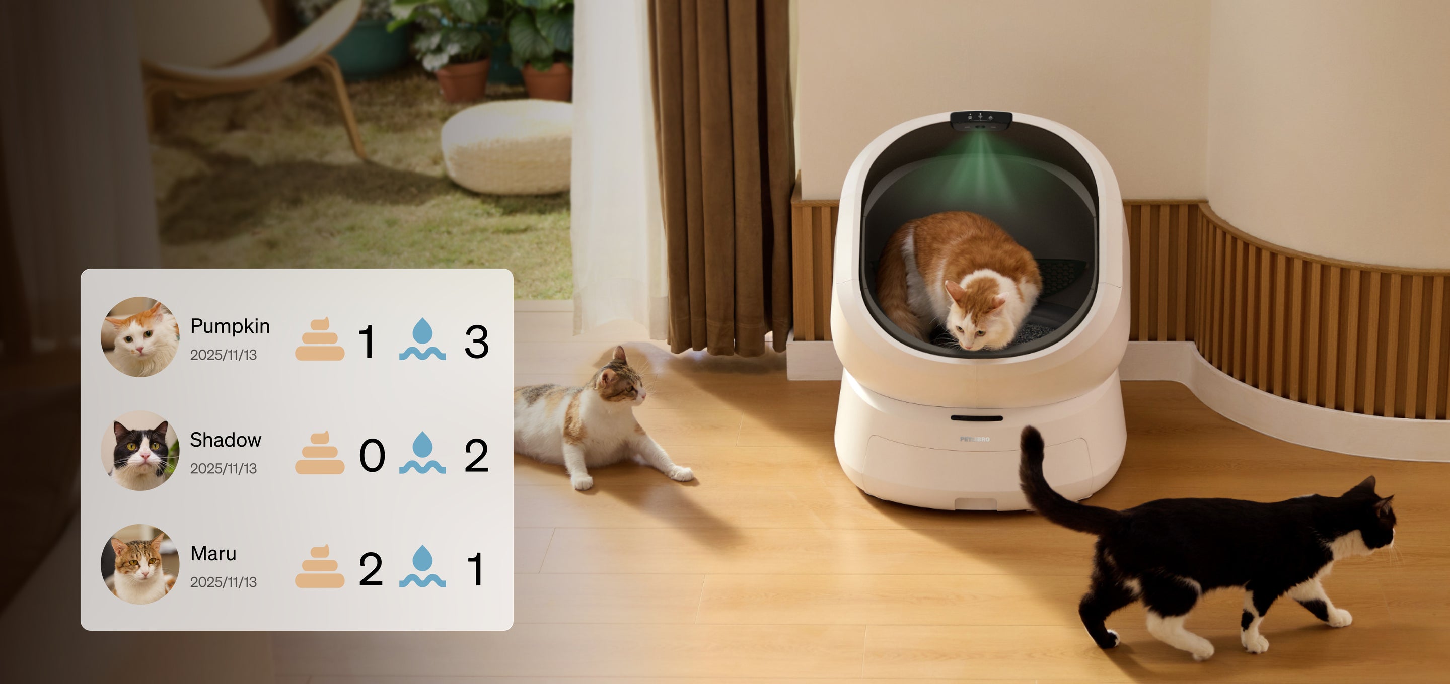 Petlibro automatic self-cleaning litter box in white with three cats and a health tracking interface on screen