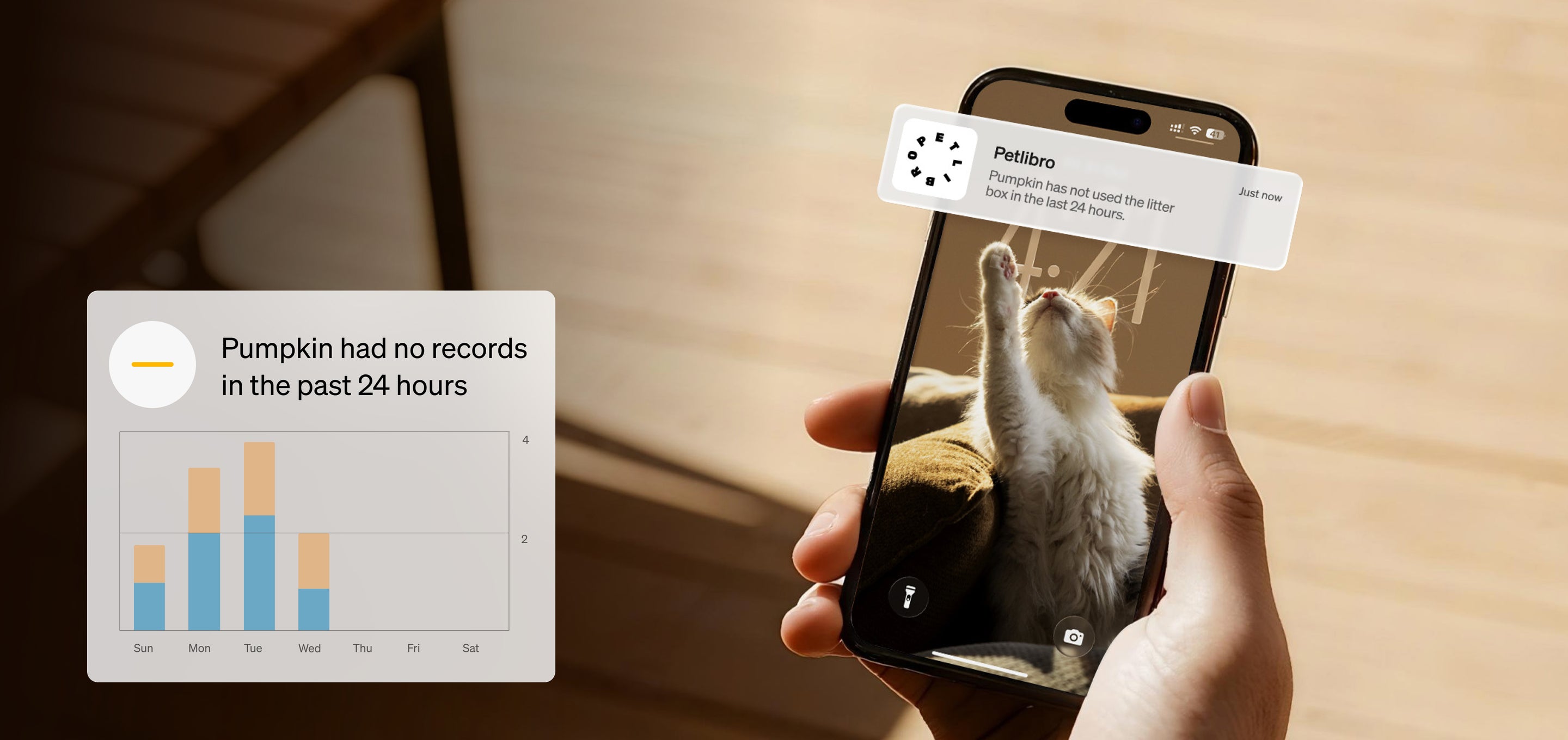 Petlibro app notification on smartphone showing cat activity monitoring and litter box usage data chart