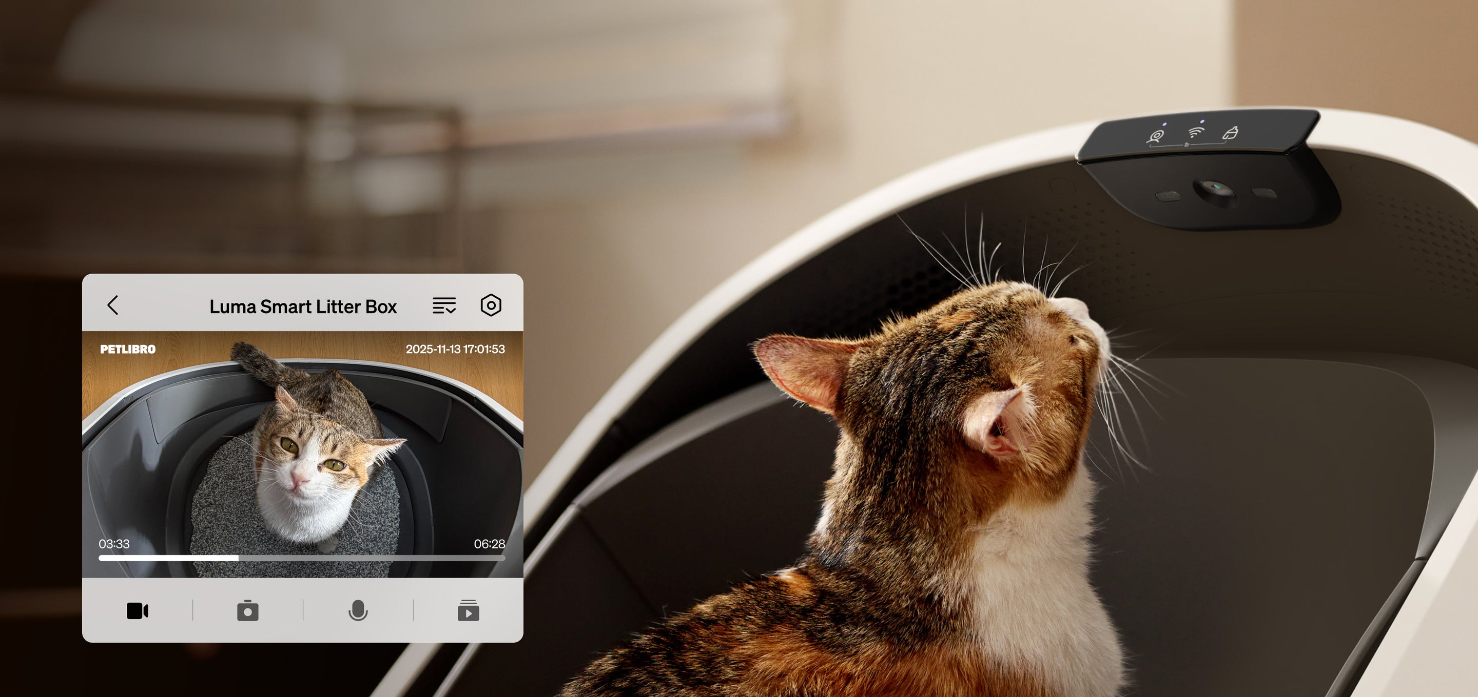 Petlibro smart litter box in white with black interior, featuring a camera monitoring a tabby cat inside the litter area.
