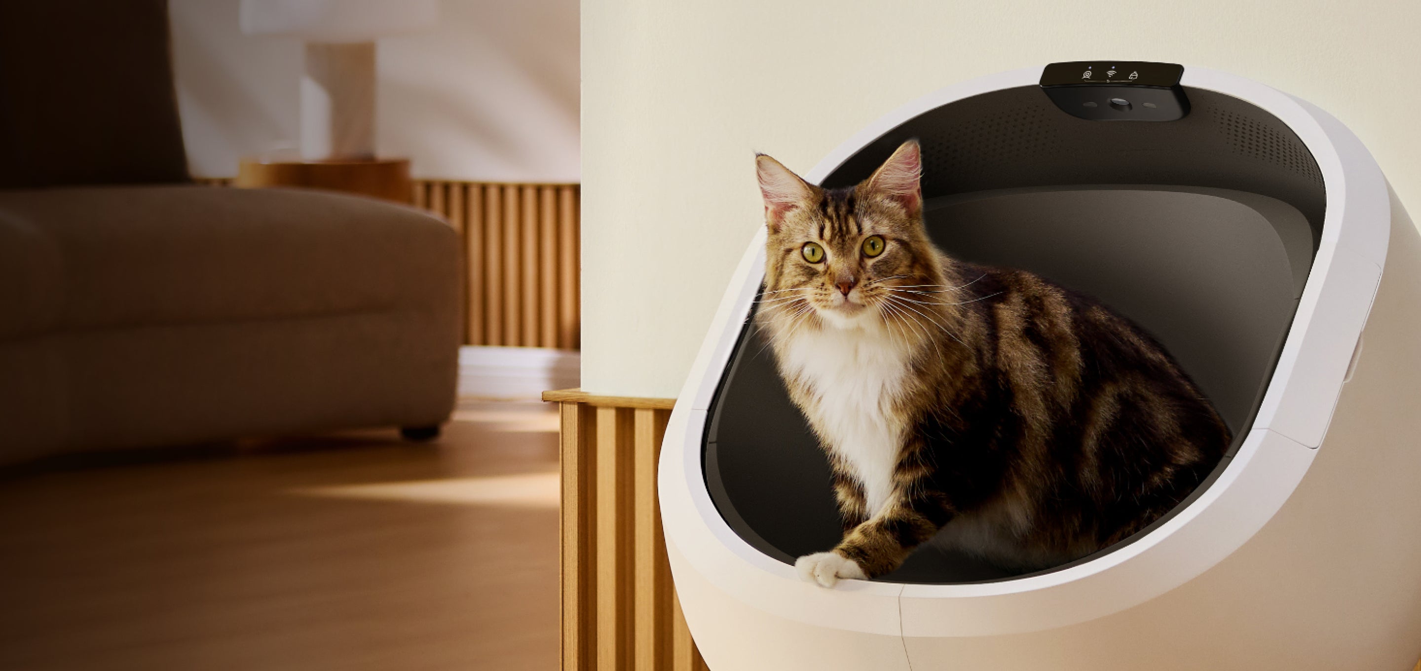 Petlibro automatic self-cleaning litter box in white with a tabby cat inside, shown in a modern home setting