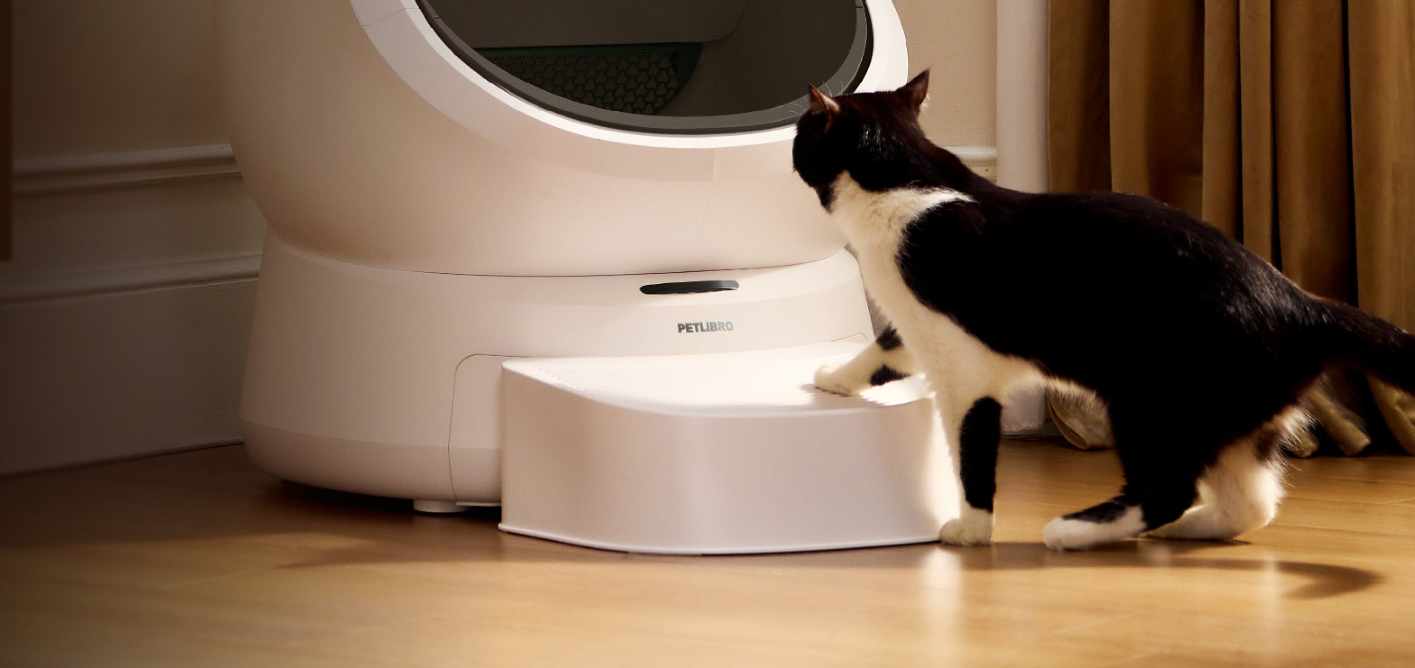 Petlibro automatic self-cleaning cat litter box in white with a black and white cat approaching the entrance step indoors