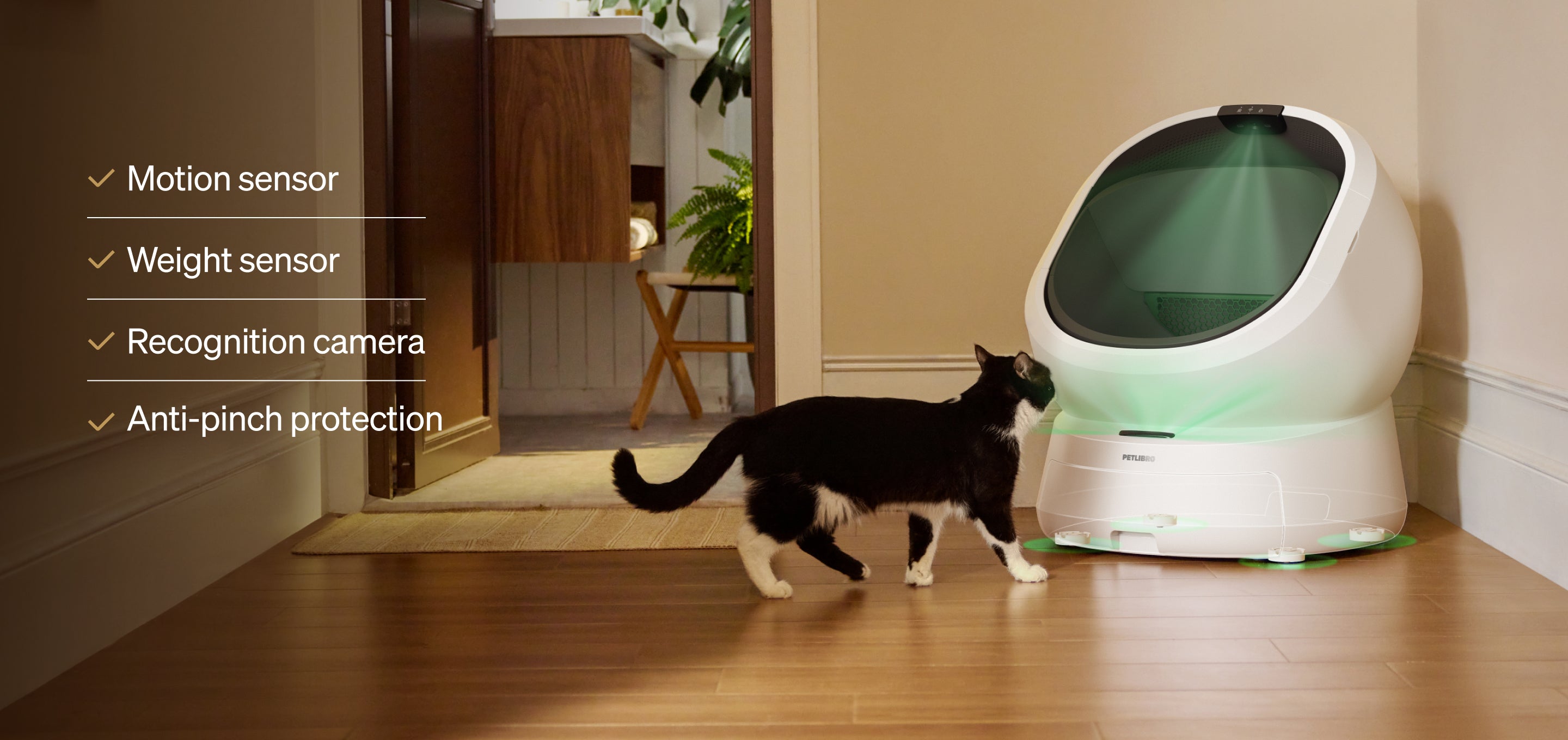 Petlibro Petlibro Luma odor control luma smart litter box automatic self cleaning litter box with cat in hallway, litter box deodorizer