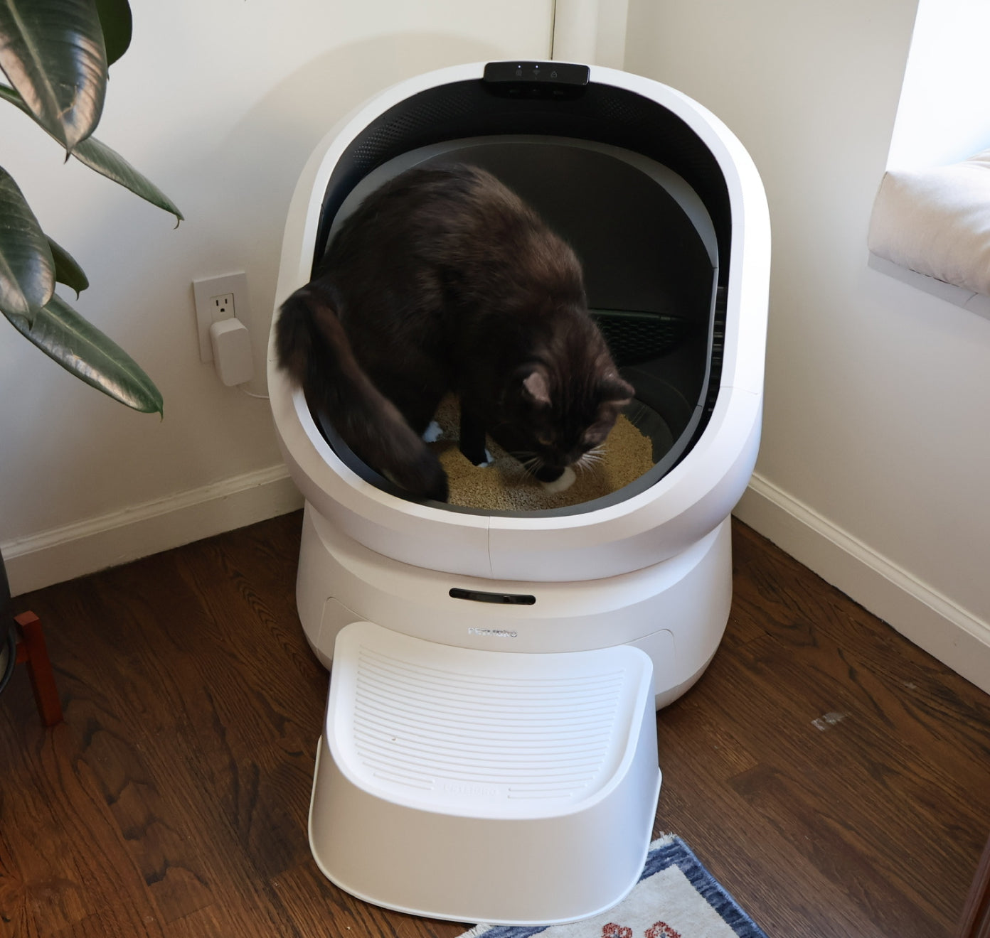 Petlibro automatic self-cleaning litter box in white with a black and white cat inside on a wooden floor near a plant and window seat