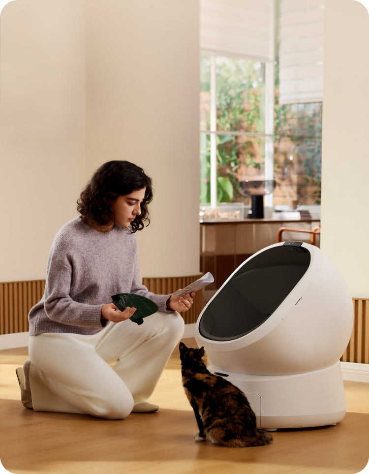 Petlibro automatic self-cleaning litter box in white with black lid, shown with a woman and a cat in a bright room