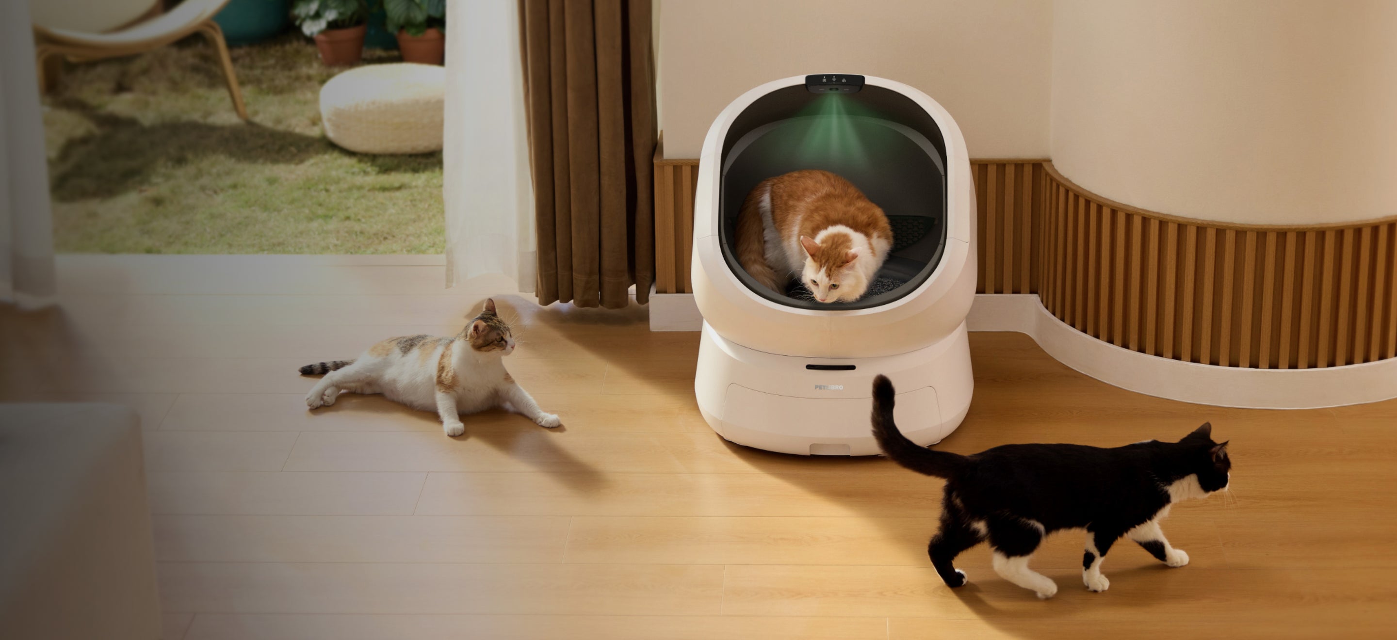 Petlibro automatic self-cleaning cat litter box in white with three cats in a modern indoor living space