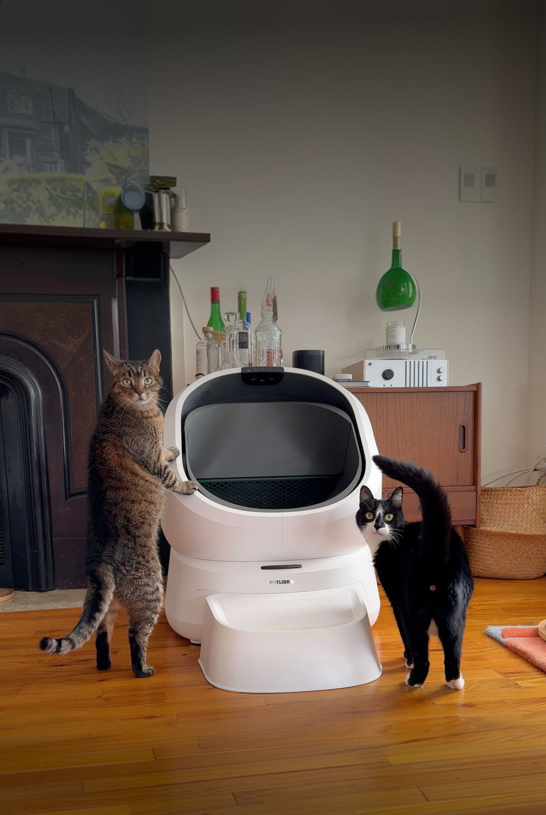 Petlibro PETLIBRO pet litter box, white automatic cat litter box with step, two cats standing beside it indoors