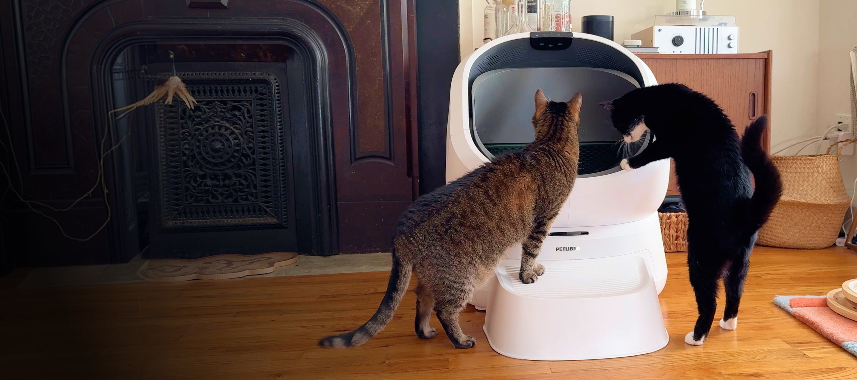 Petlibro PETLIBRO pet litter box, white automatic cat box with step, two cats inspecting in living room