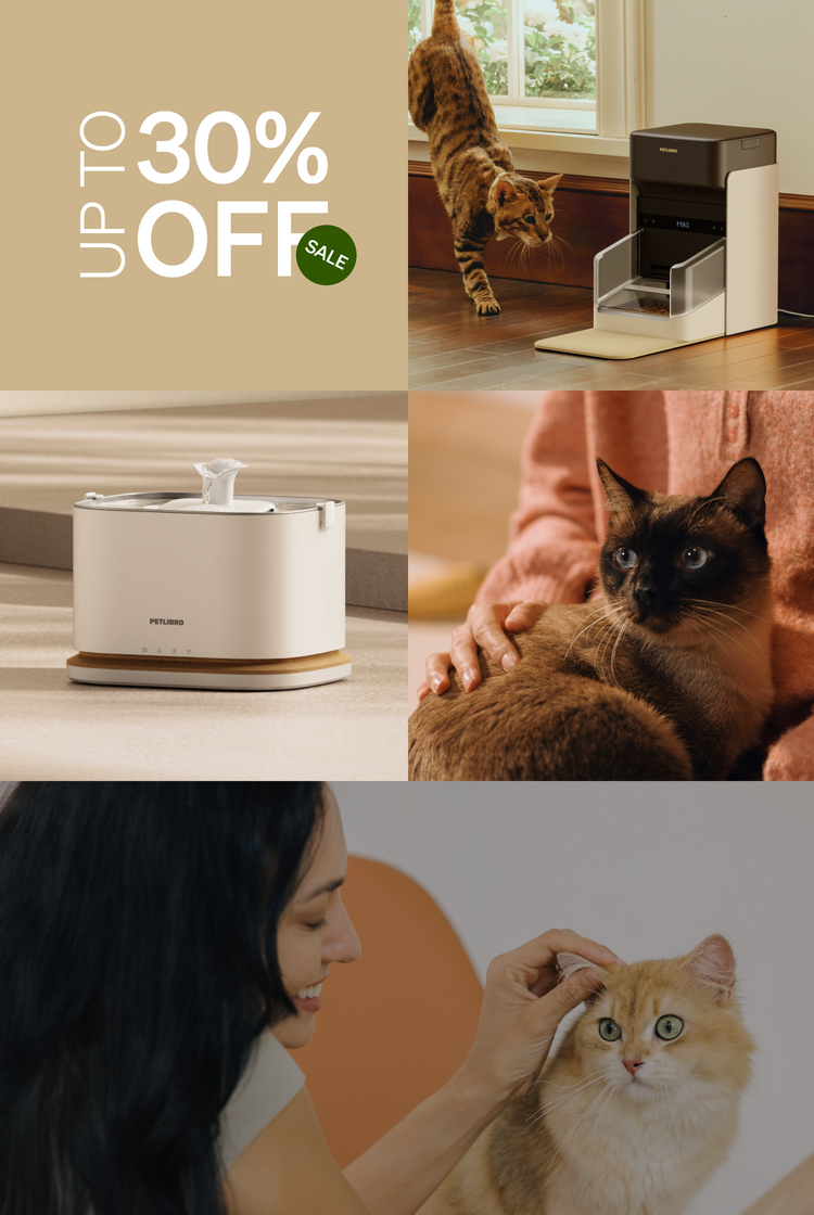 Petlibro feeder and fountain promotion featuring a sleek, modern design in a cozy home setting with cats.